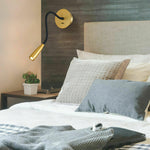Flexi Hose Plug In Wall Light