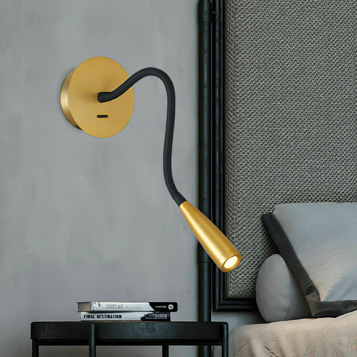 Flexi Hose Plug In Wall Light
