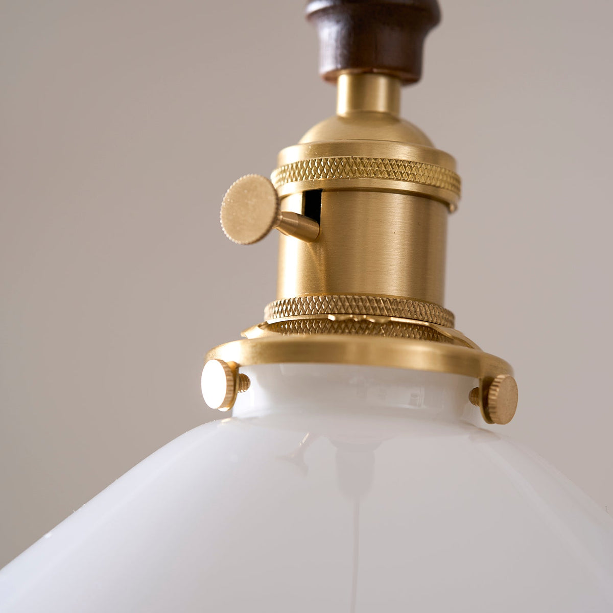 Flower Petals Swag Pendant Light — Brass & Glass Modern Hanging Lamp
