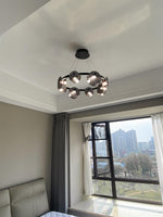 Foliole Modern Black Chandelier with Smoked Glass Shades