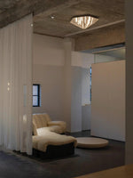 fragment-celing-lamp