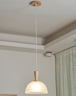 Frosted Glass Bowl Pendant Light