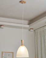 Frosted Glass Bowl Pendant Light