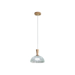 Frosted Glass Bowl Pendant Light
