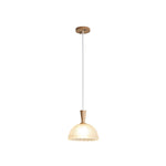 Frosted Glass Bowl Pendant Light