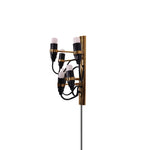 Fruit Plug In Wall Lamp
