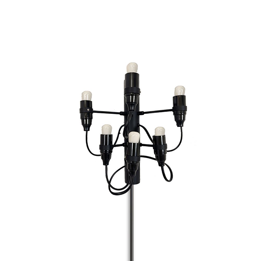 Fruit Plug In Wall Lamp