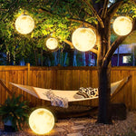 Lunar Garden Outdoor Pendant Light