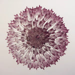 Gorgeous Murano Quadriedri Prisms Amatyst Chandelier