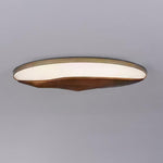 half-mountain-ceiling-lamp