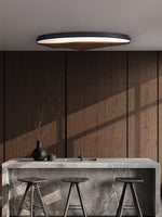 half-mountain-ceiling-lamp