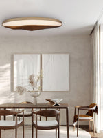 half-mountain-ceiling-lamp