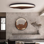 half-mountain-ceiling-lamp