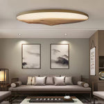 half-mountain-ceiling-lamp