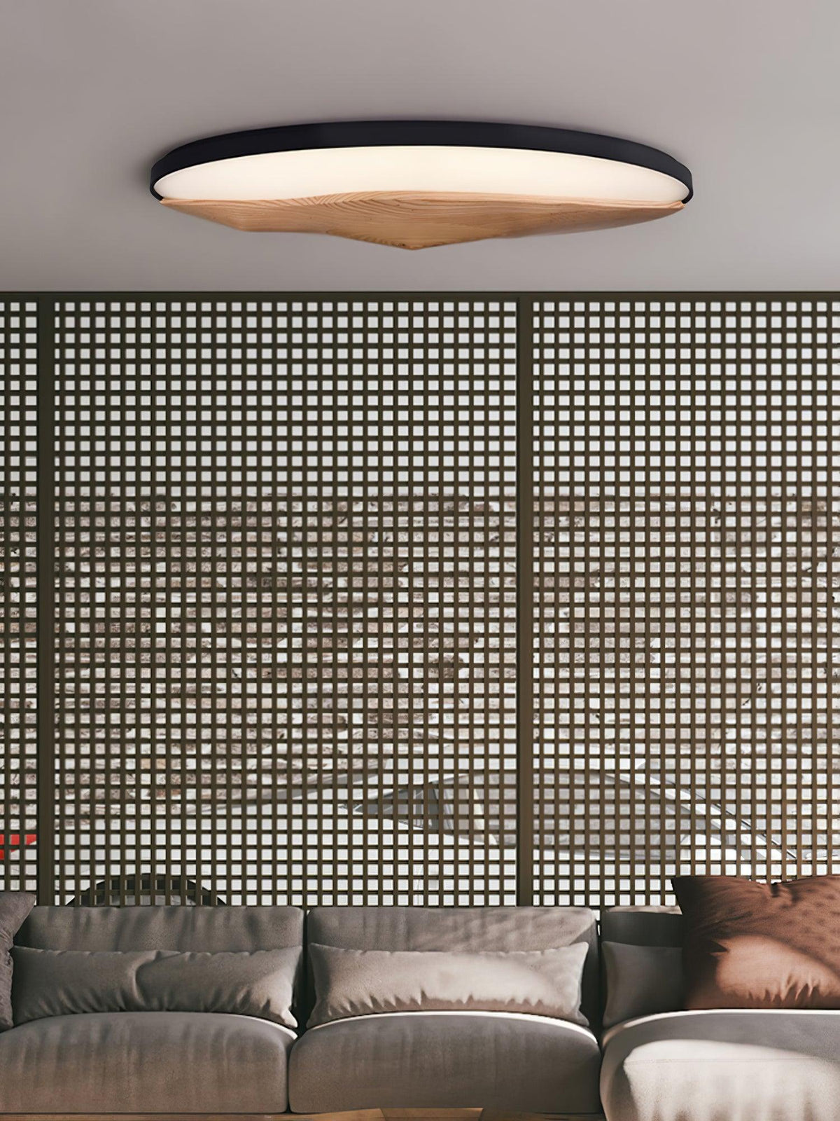 half-mountain-ceiling-lamp