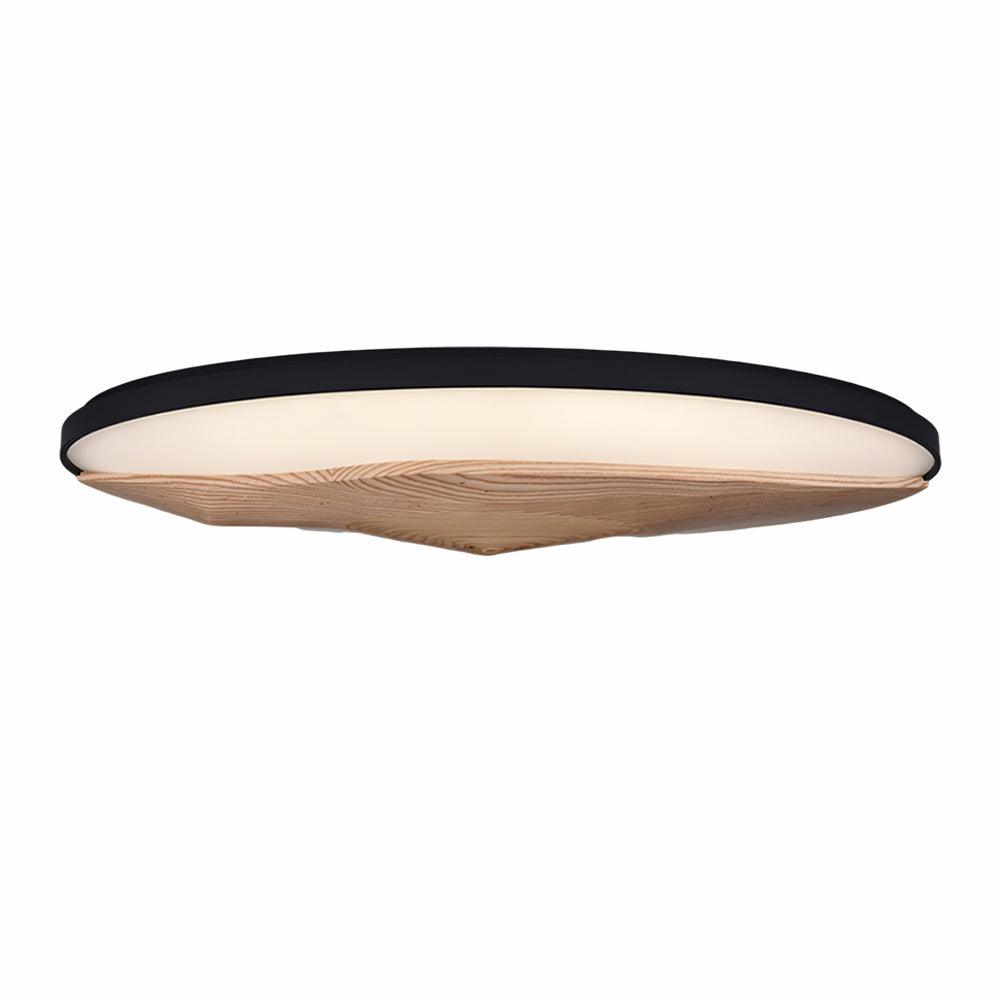 half-mountain-ceiling-lamp