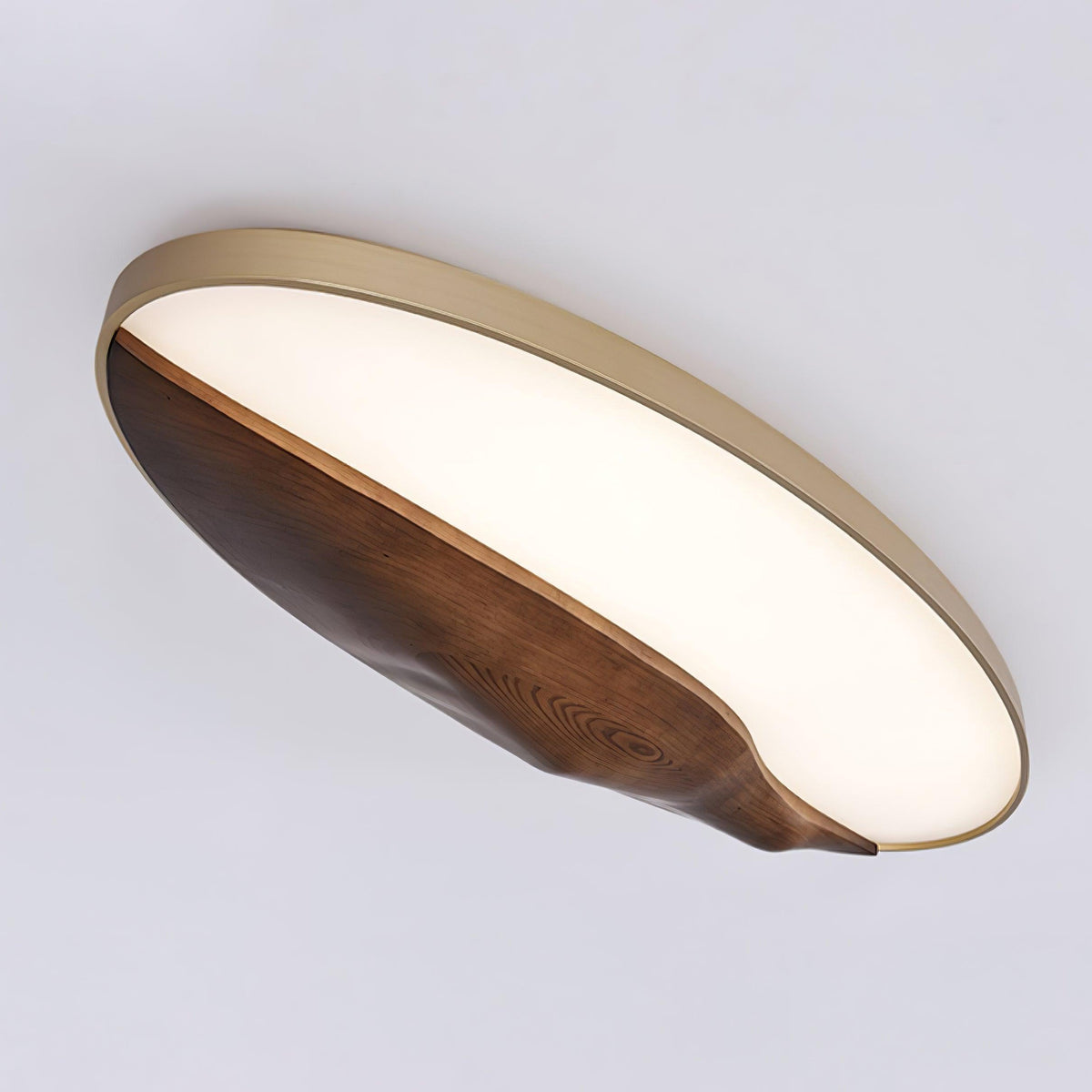 half-mountain-ceiling-lamp
