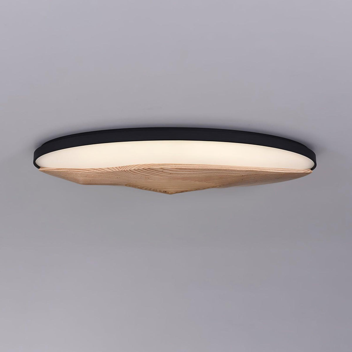 half-mountain-ceiling-lamp