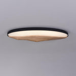 half-mountain-ceiling-lamp