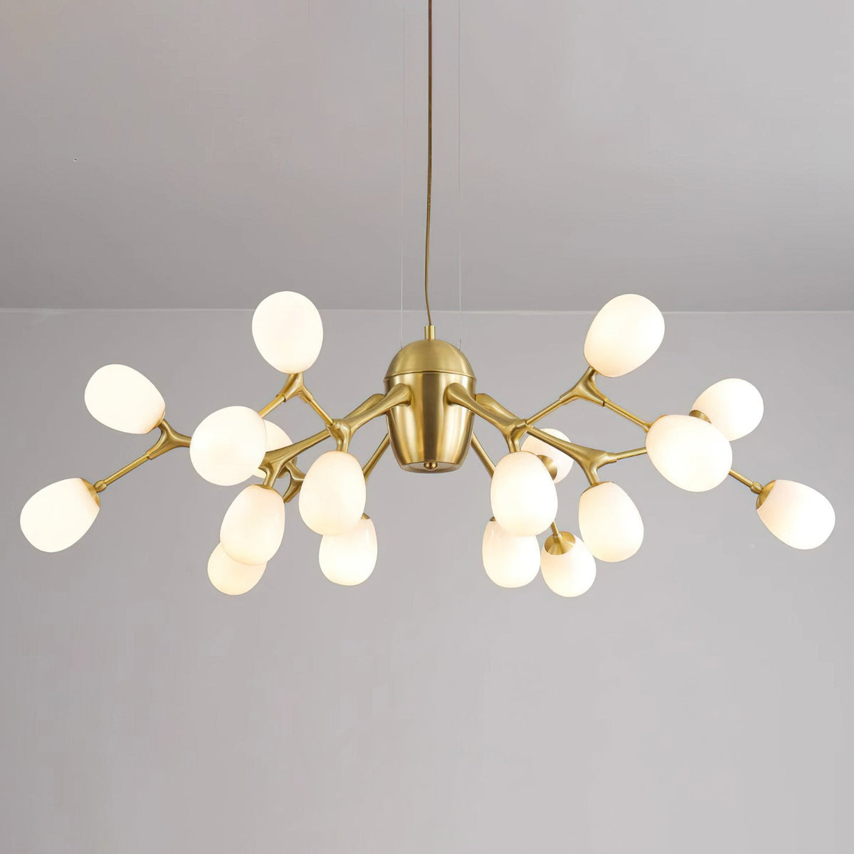 Hannelore Chandelier