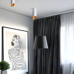Hazel Surface Mounted LED Downlight in Matte Black or White