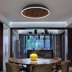 heartwood-ceiling-lamp