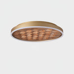 heartwood-ceiling-lamp
