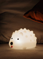hedgehog-timing-night-light