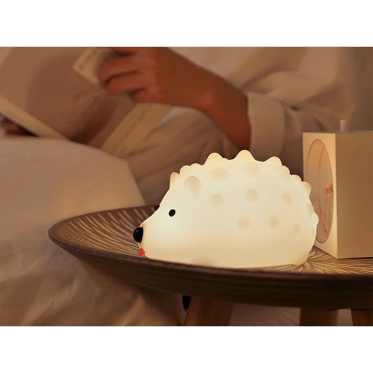 hedgehog-timing-night-light