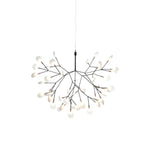 heracleum-chandelier