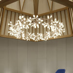 heracleum-round-chandelier