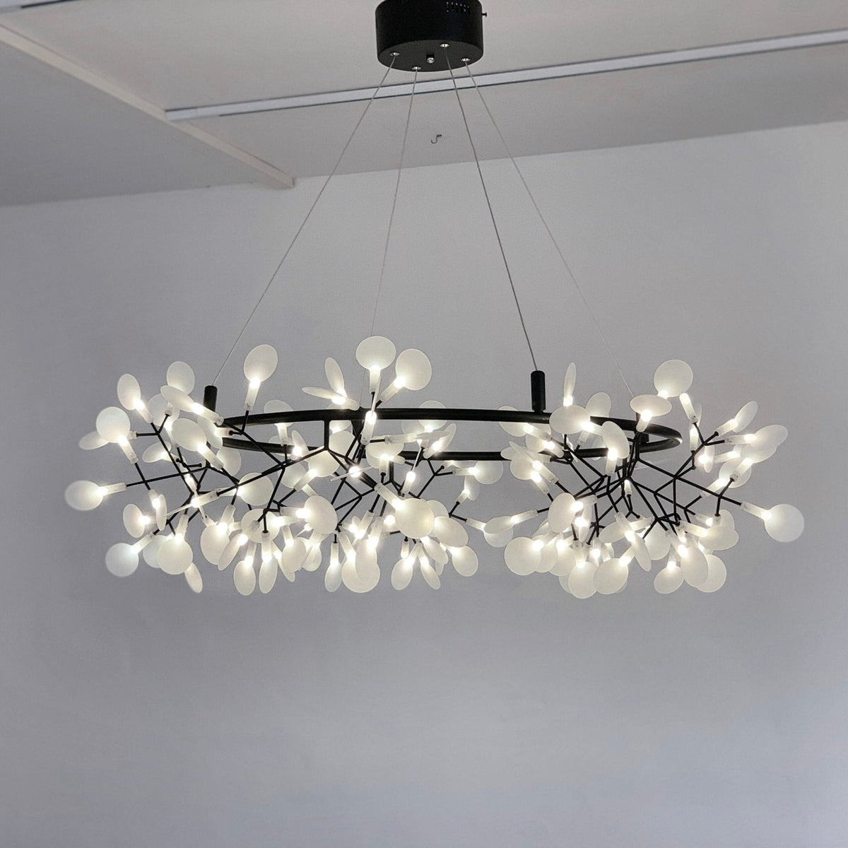heracleum-round-chandelier