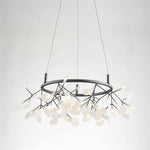 heracleum-round-chandelier
