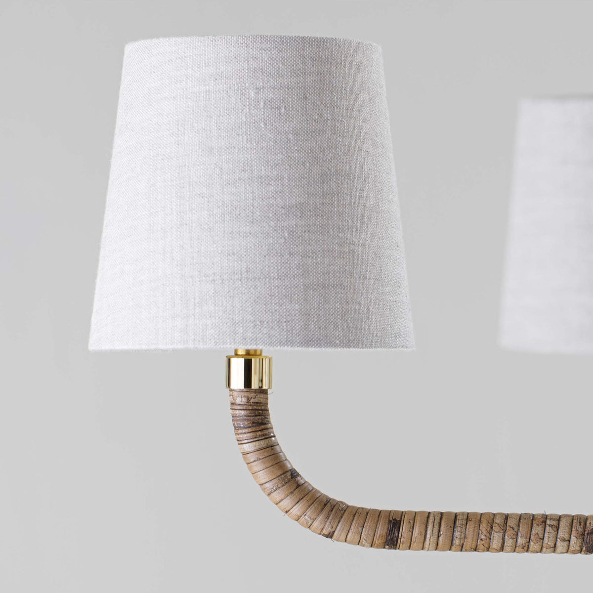 holden-cane-chandelier