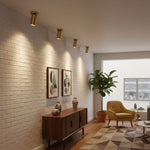 Horizon Brass Ceiling Spot Light – Adjustable LED Accent Lighting