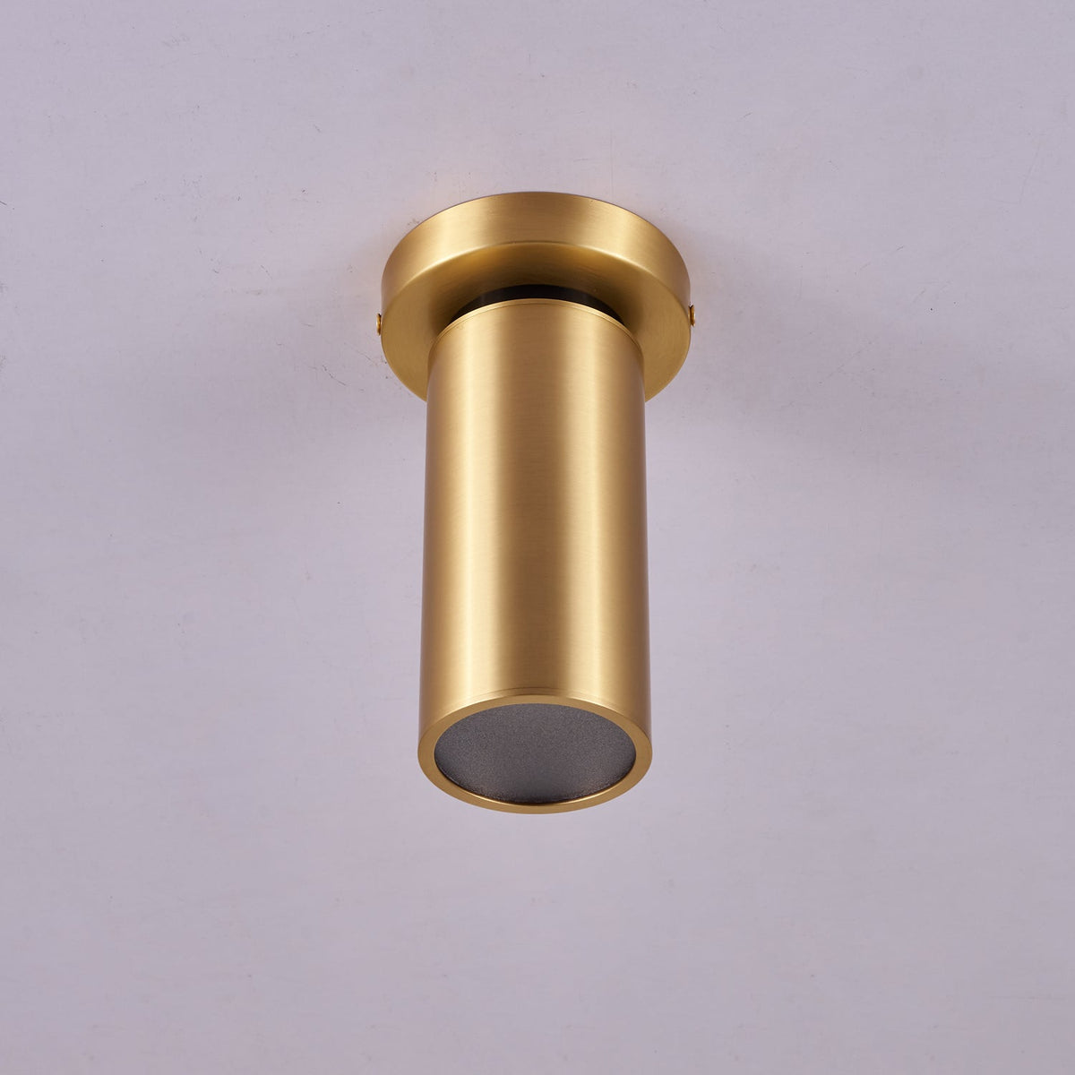 Horizon Brass Ceiling Spot Light – Adjustable LED Accent Lighting