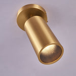 Horizon Brass Ceiling Spot Light – Adjustable LED Accent Lighting