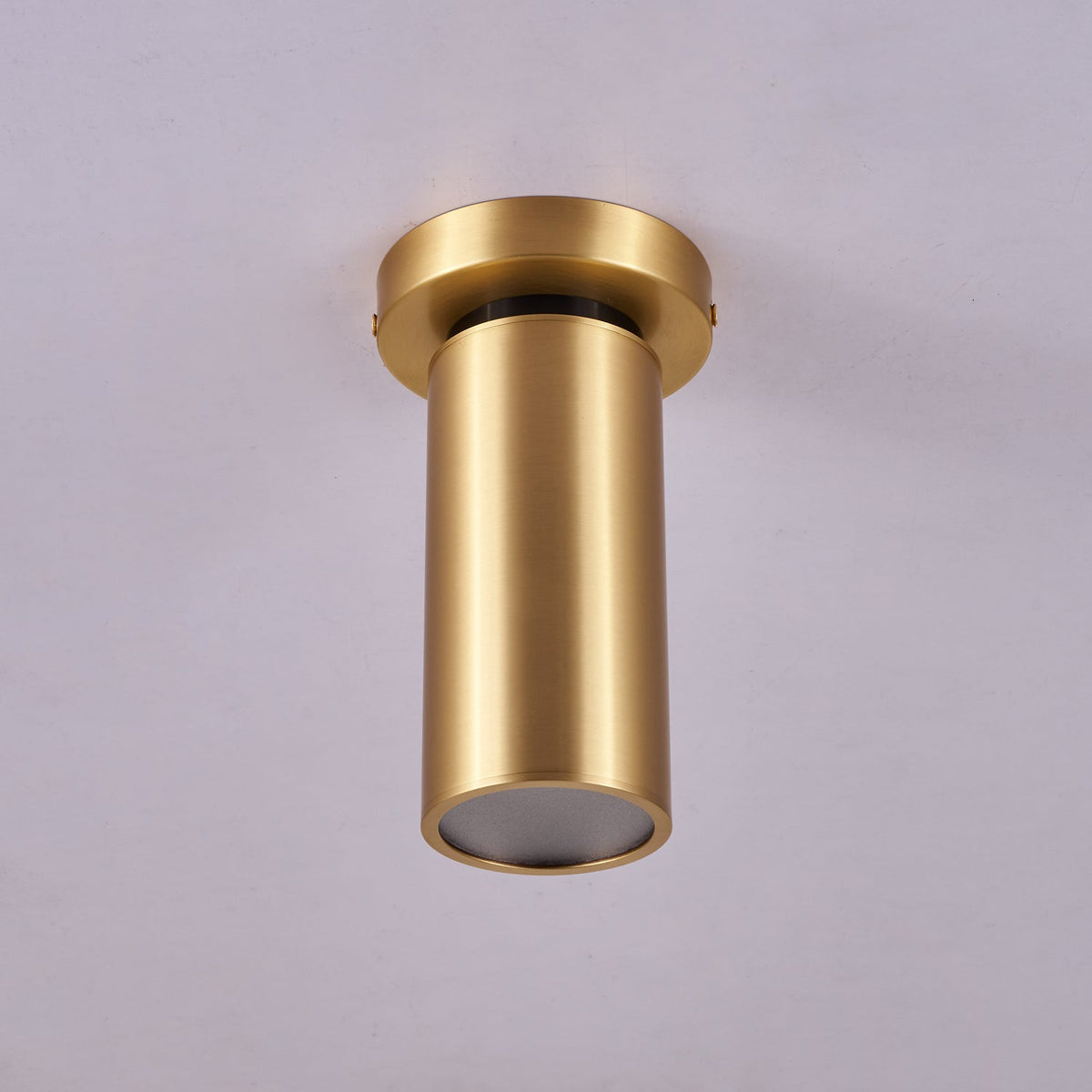 Horizon Brass Ceiling Spot Light – Adjustable LED Accent Lighting