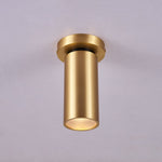 Horizon Brass Ceiling Spot Light – Adjustable LED Accent Lighting