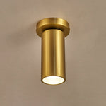 Horizon Brass Ceiling Spot Light – Adjustable LED Accent Lighting