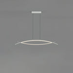 Hyperbola Pendant Light