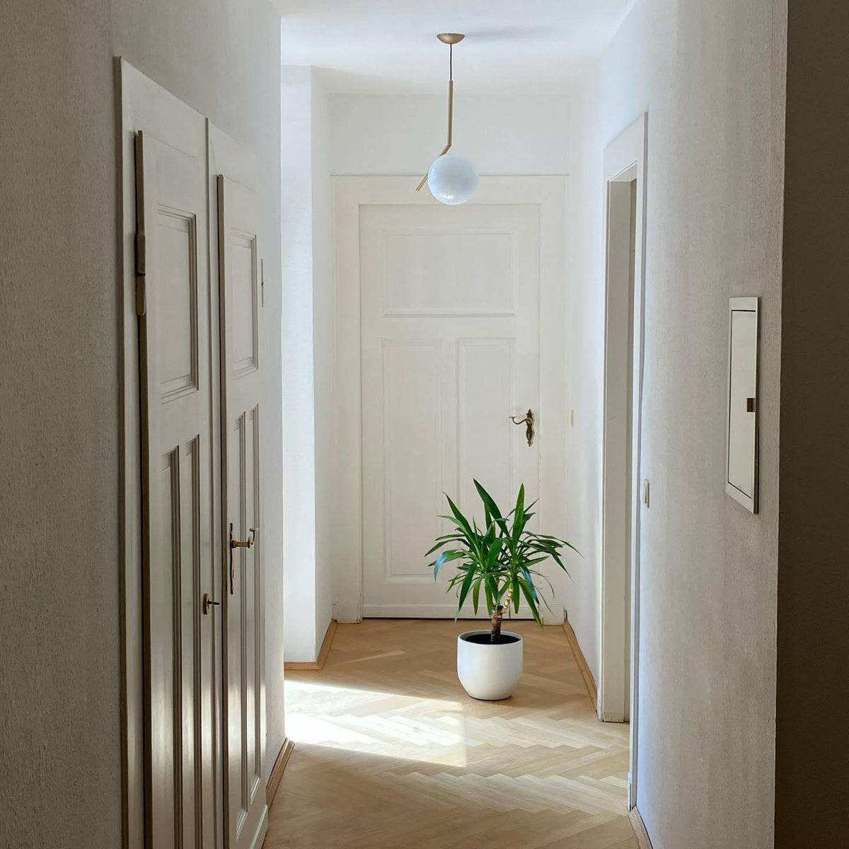 ic-pendant-light