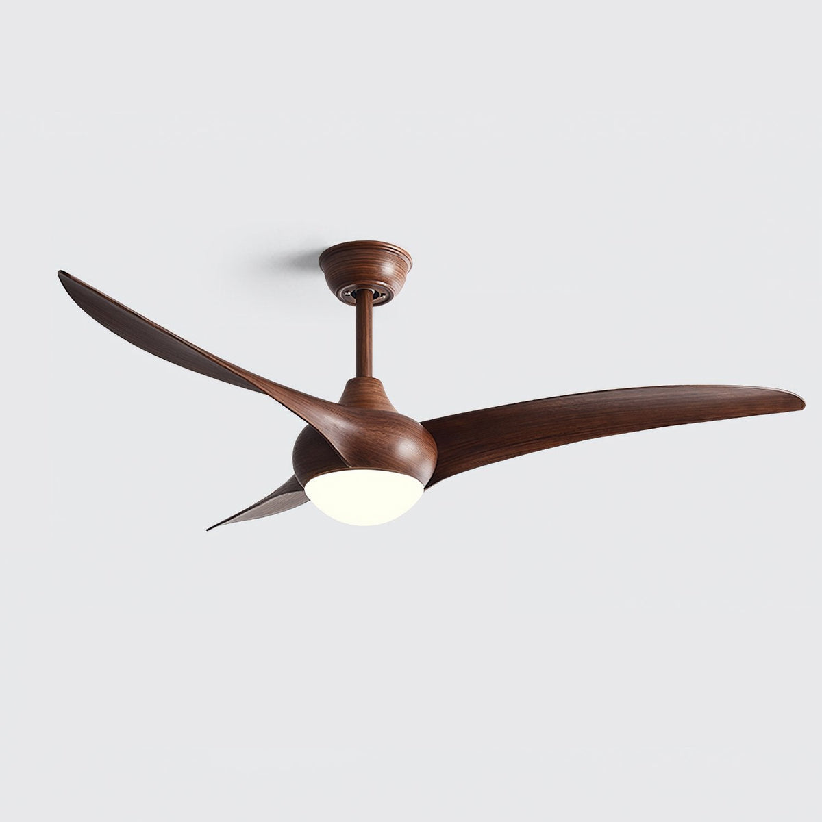 Indoor Ceiling Fan Light