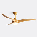 Indoor Ceiling Fan Light