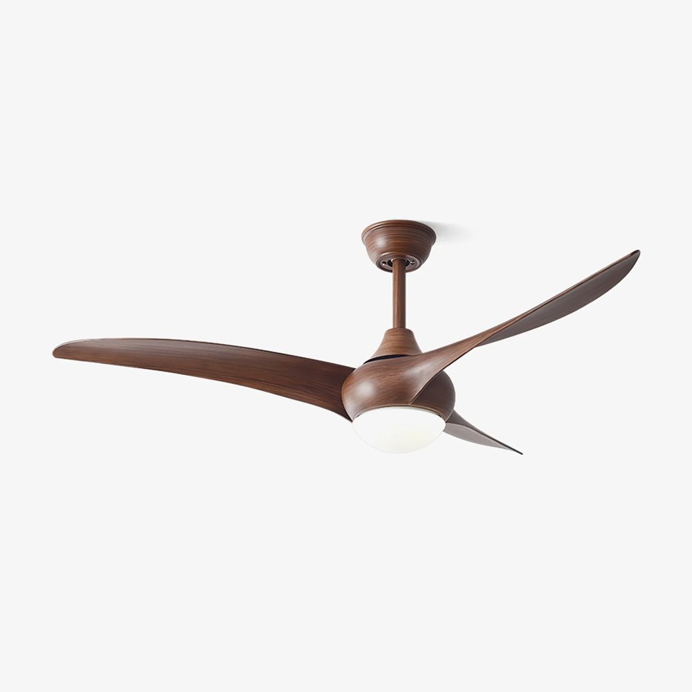 Indoor Ceiling Fan Light