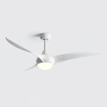 Indoor Ceiling Fan Light