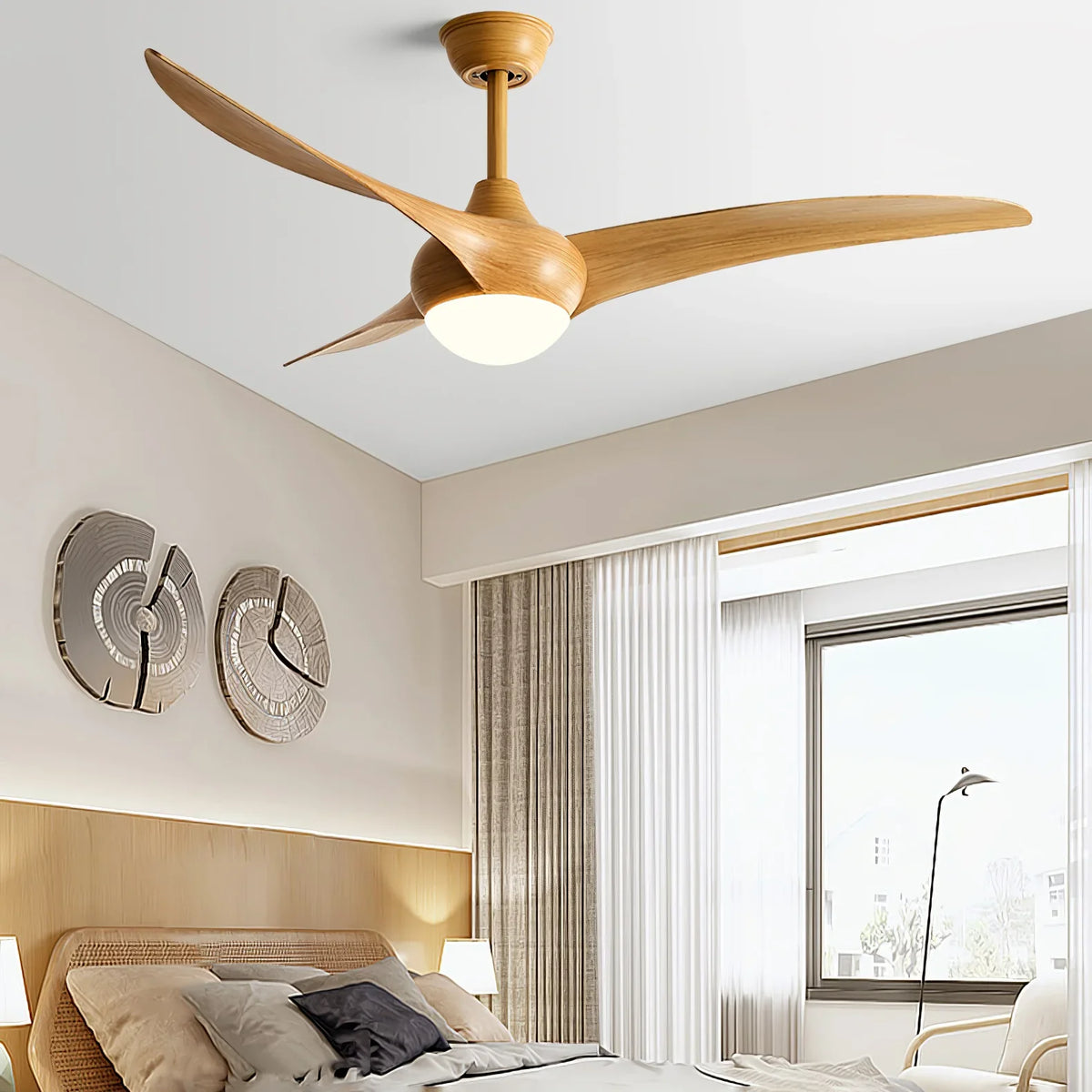Indoor Ceiling Fan Light