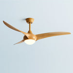 Indoor Ceiling Fan Light