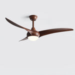 Indoor Ceiling Fan Light