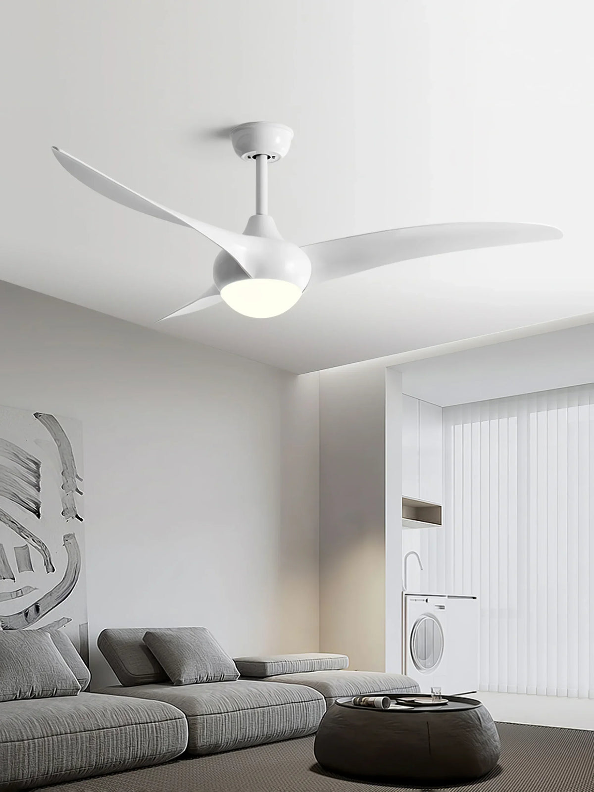 Indoor Ceiling Fan Light